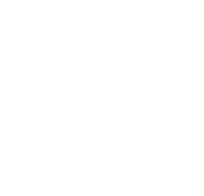 Detroit Tigers