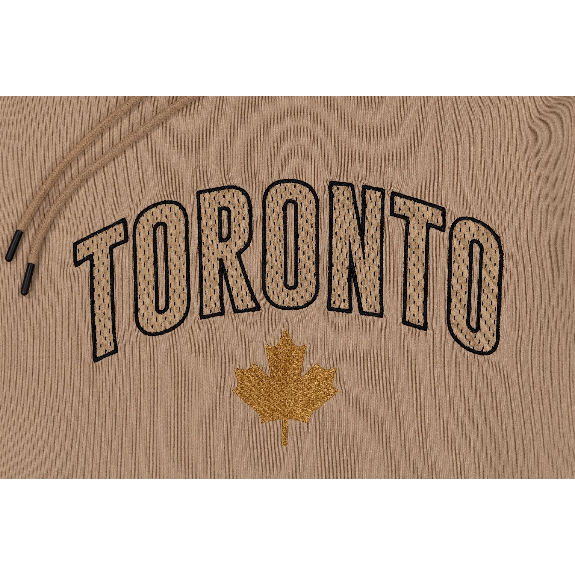 Toronto raptors city outlet edition hoodie