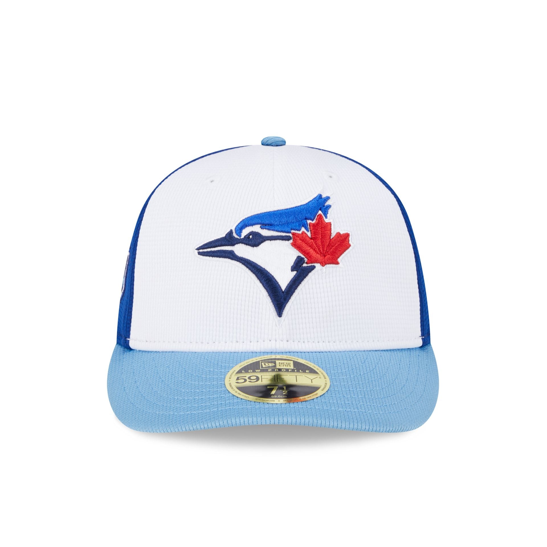 Toronto Blue Jays 2024 Spring Training Low Profile 59FIFTY Fitted Hat New Era Cap