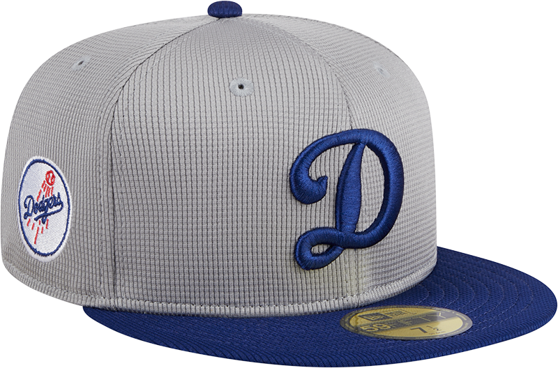 Los Angeles Dodgers 2025 Batting Practice Gray 59FIFTY Fitted