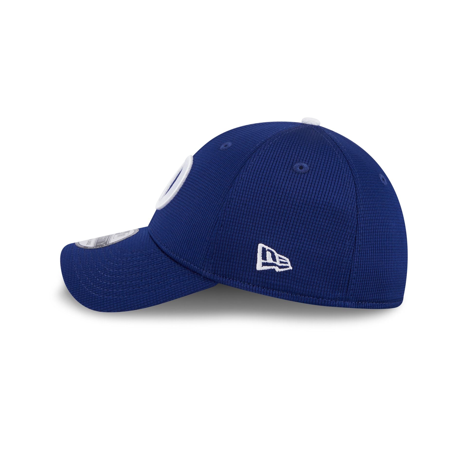 Los Angeles Dodgers 2024 Batting Practice 39THIRTY Stretch Fit Hat