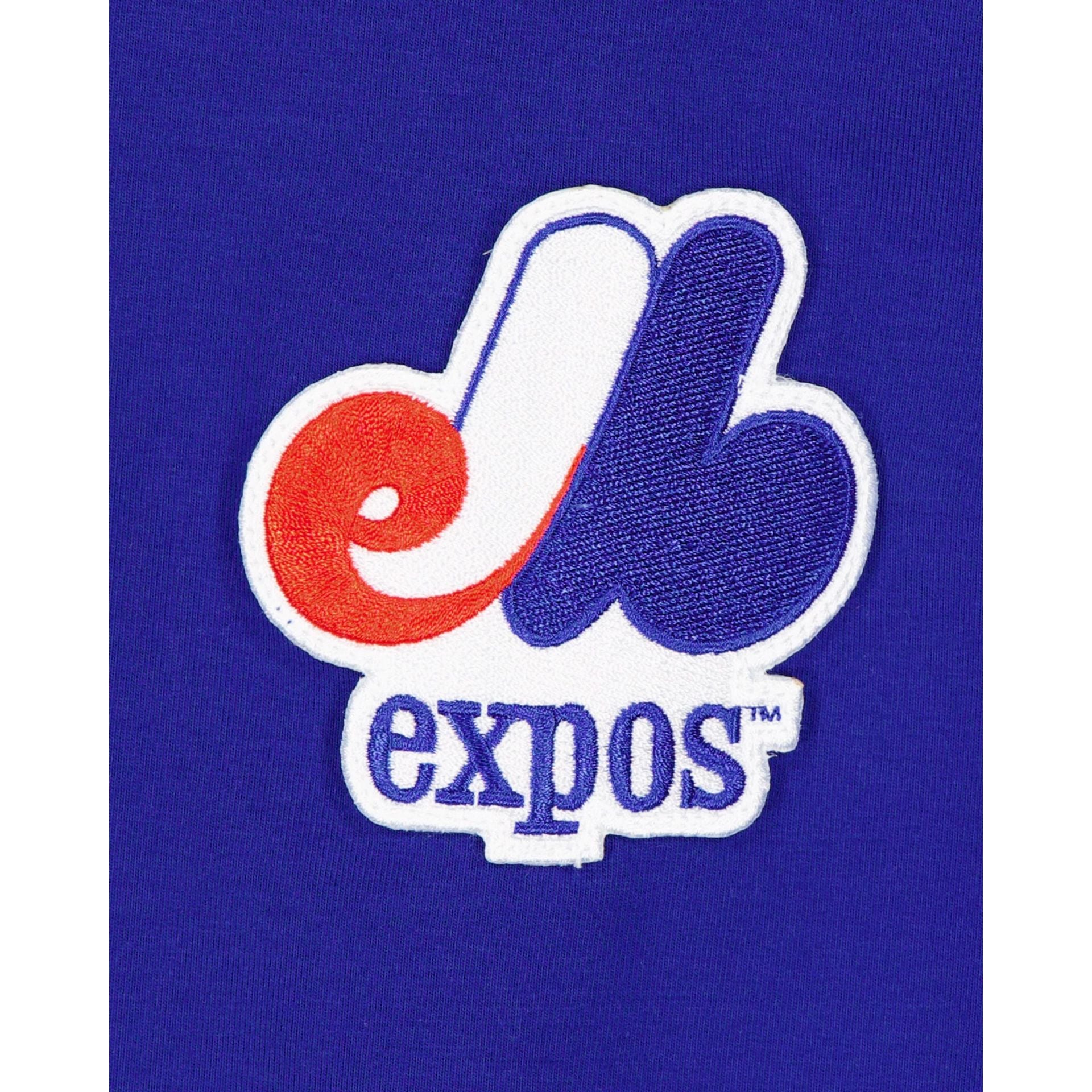 Vintage Montreal Expos Plain Logo Script 30x12 Pennant | eBay