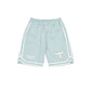 Chicago Bulls Minty Breeze Logo Select Shorts