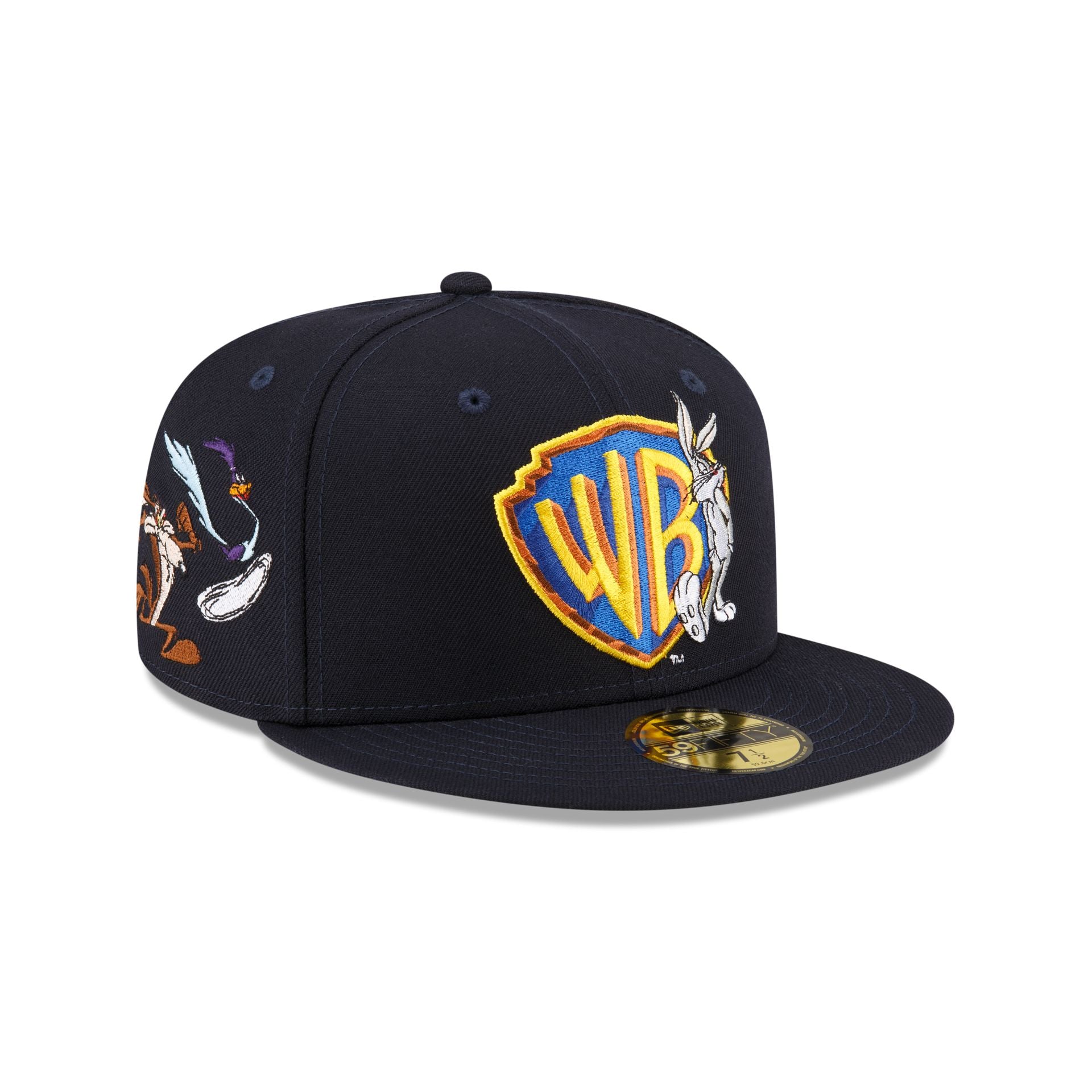 Warner brothers sale ball cap