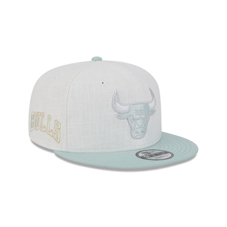 Chicago Bulls Minty Breeze Logo Select 9FIFTY Snapback Hat