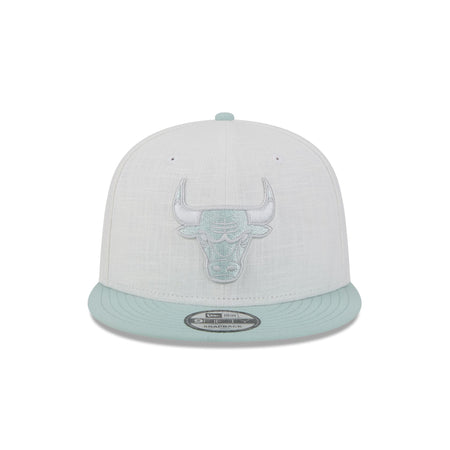 Chicago Bulls Minty Breeze Logo Select 9FIFTY Snapback Hat