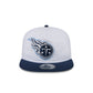 Tennessee Titans 2024 Training Golfer Hat