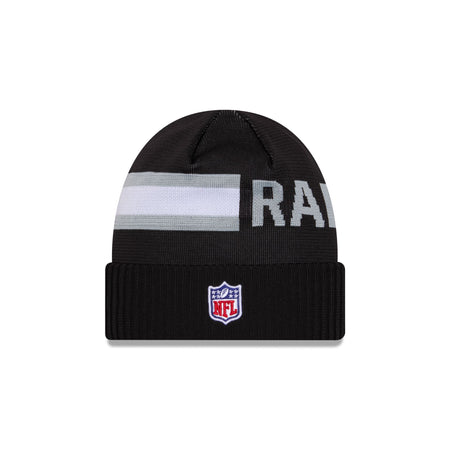 Las Vegas Raiders 2024 Cold Weather Tech Knit Beanie