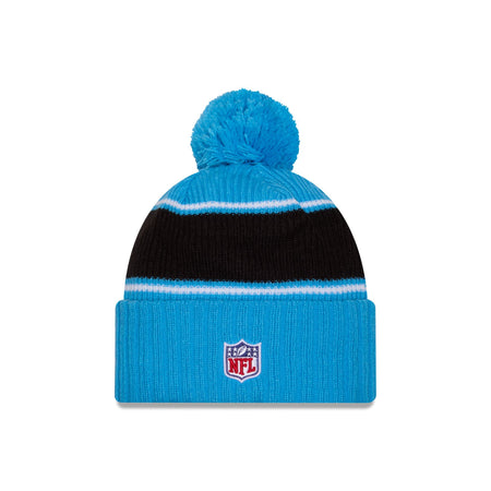 Carolina Panthers 2024 Cold Weather Sport Pom Knit Hat