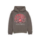 Detroit Red Wings Oversized Essentials Hoodie