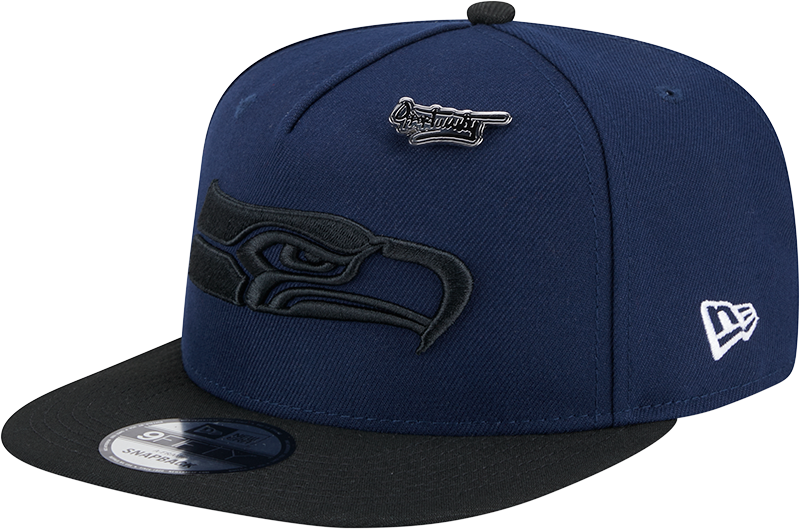 Seattle Seahawks 2024 Inspire Change 9FIFTY A-Frame Snapback Hat