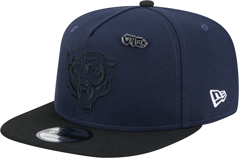 Chicago Bears 2024 Inspire Change 9FIFTY A-Frame Snapback Hat