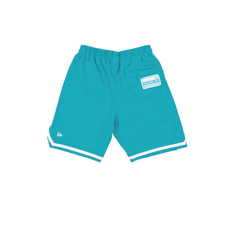 Miami Dolphins Team Color Logo Select Shorts