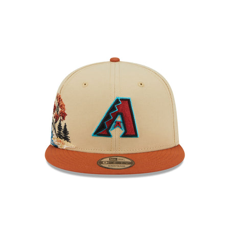 Arizona Diamondbacks Fall Landscape 9FIFTY Snapback Hat