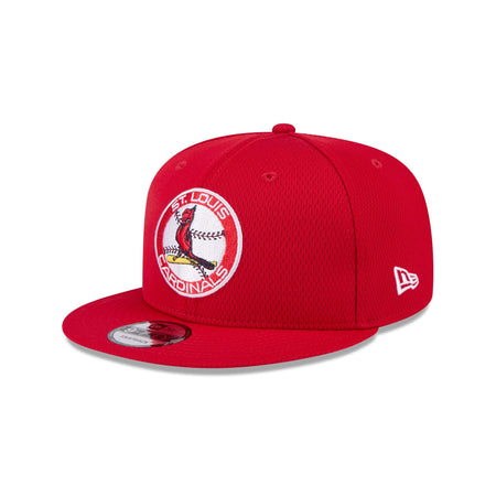 St. Louis Cardinals 2025 Clubhouse Alt 9FIFTY Snapback Hat