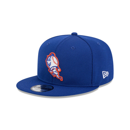 New York Mets 2025 Clubhouse Alt 9FIFTY Snapback Hat