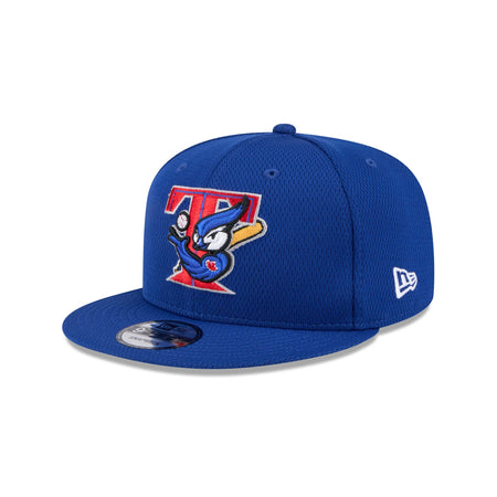 Toronto Blue Jays 2025 Clubhouse Alt 9FIFTY Snapback Hat