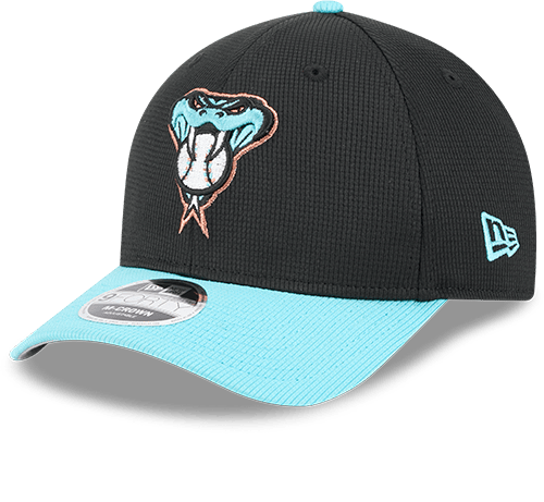 Arizona Diamondbacks 2025 Batting Practice 9FORTY M-Crown Snapback Hat