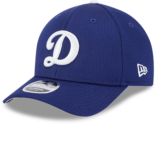 Los Angeles Dodgers 2025 Batting Practice 9FORTY M-Crown Snapback Hat