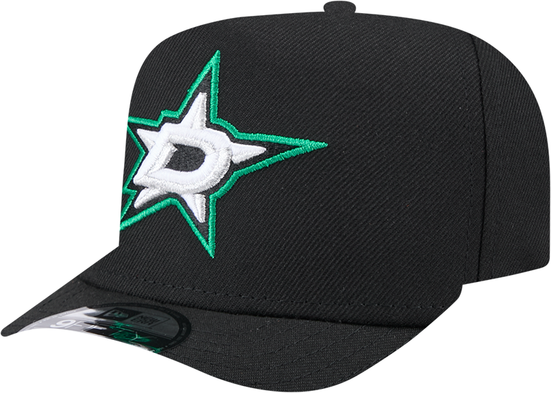 Dallas Stars Team 9FIFTY A-Frame Snapback Hat