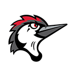 Fayetteville Woodpeckers