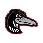 Great Lakes Loons